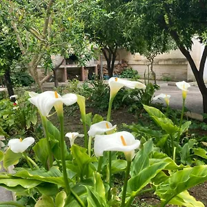 Federico's Vila Bed and breakfast